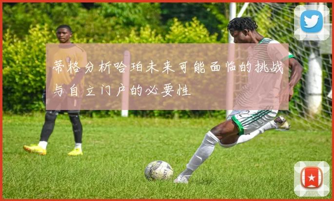 蒂格分析哈珀未来可能面临的挑战与自立门户的必要性