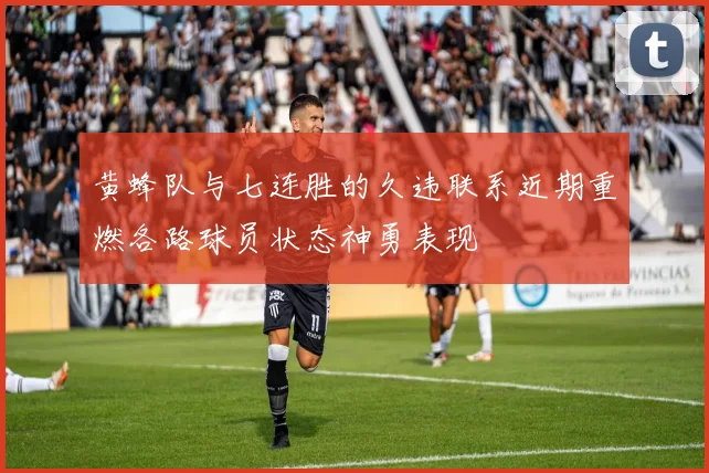 黄蜂队与七连胜的久违联系近期重燃各路球员状态神勇表现