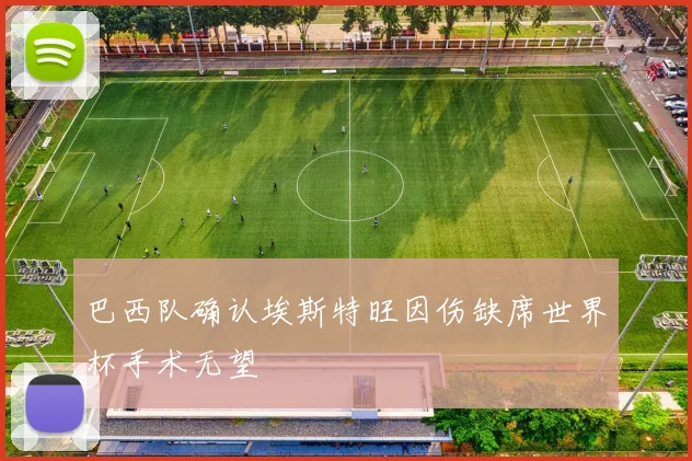 巴西队确认埃斯特旺因伤缺席世界杯手术无望